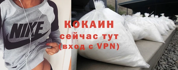мдпв Менделеевск