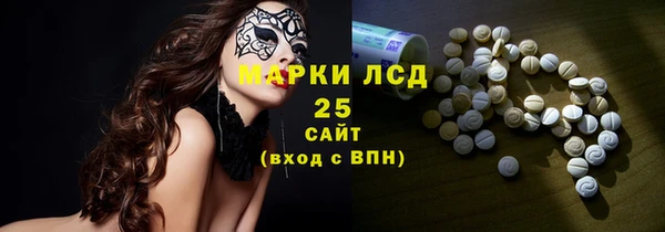 спиды Дубна