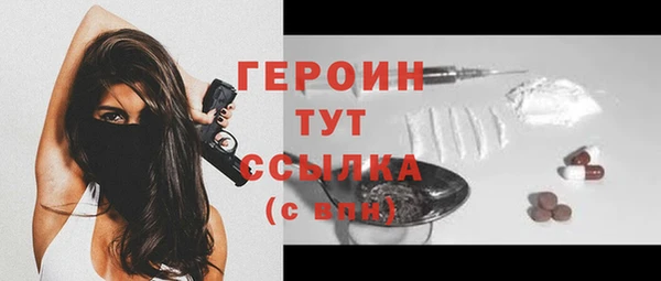 индика Мосальск