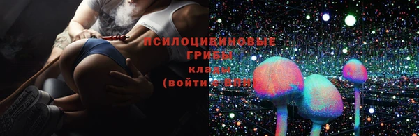 мдпв Менделеевск