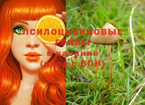 спиды Дубна