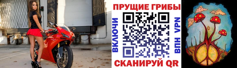 Псилоцибиновые грибы ЛСД  Духовщина 